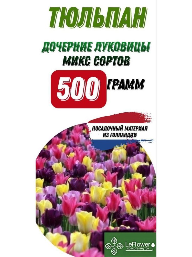 Тюльпан Луковица, дочерние, 500г