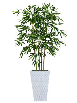 Искусственный Бамбук 130см в белом кашпо ротанг