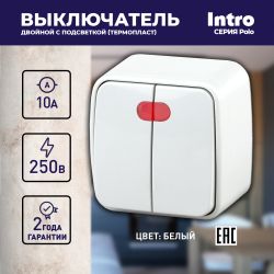 3-105-01 Intro Выключатель двойной с подсветкой, 10А-250В, IP20, ОУ, Polo, белый