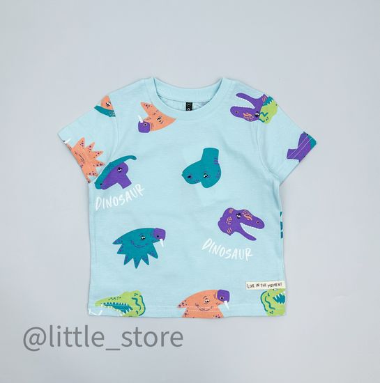 Футболка хлопковая "Мир динозавров" морозный шалфей