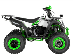 Квадроцикл WELS Thunder Evo 200