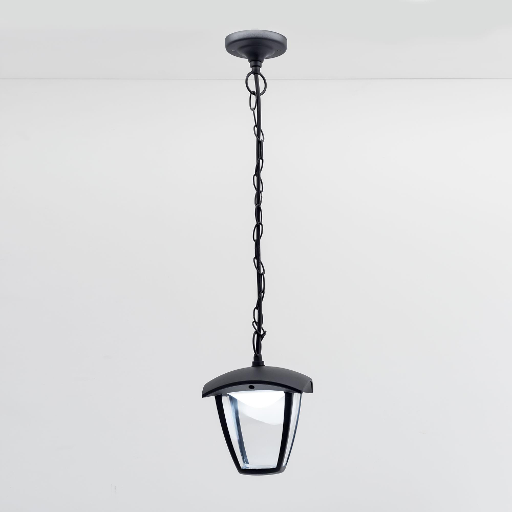 Citilux GARDA CLU04P LED Уличный подвесной светильник Чёрный