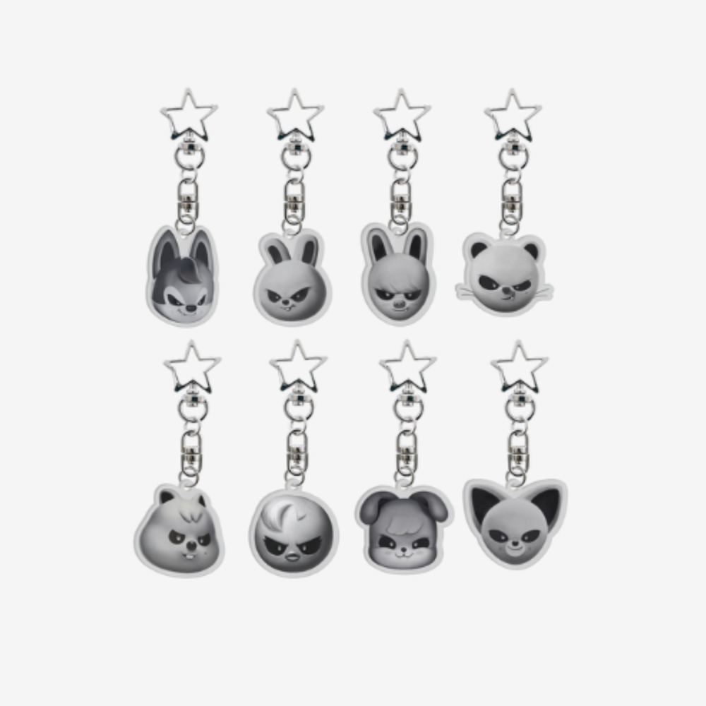 Акриловый брелок EVIL SKZOO ACRYLIC KEYRING - SKZOO Everywhere All Around The World