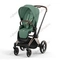 Прогулочная коляска Cybex Priam IV Leaf Green шасси Rosegold