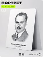 Портрет для школы в кабинет биологии "Николай Иванович Вавилов", стенд школьный для класса, деятели науки для оформления классного уголка, 40х30 см, Silver Plane x Айдентика Технолоджи