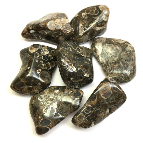 Агат Турителла, галтовка 25-35 мм