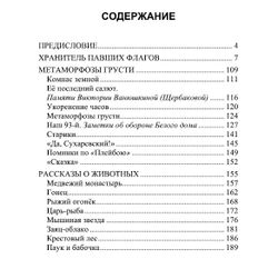 Хранитель Павших флагов. Максим Шмырёв