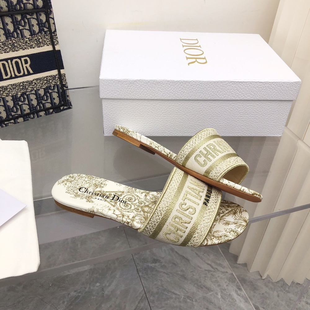 Christian Dior Dway Slide