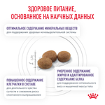 Royal Canin Neutered Satiety Balance Ньютрид Сэтайети Бэлэнс Корм для взрослых котов и кошек с момента стерилизации до 7 лет 8кг