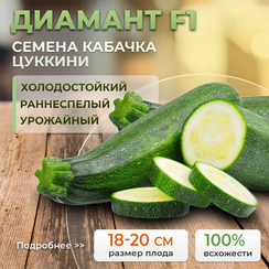 ДИАМАНТ F1 семена кабачка (Seminis | Alexagro)