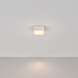 Потолочный светодиодный светильник Maytoni Zon C067CL-L12W3K