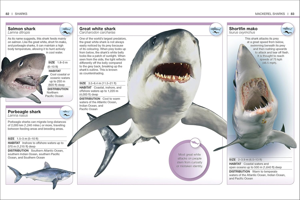 Sharks (Pocket Eyewitness)