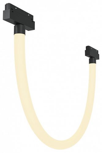 Трековый светильник Maytoni Technical TR101-2-20W3K-B