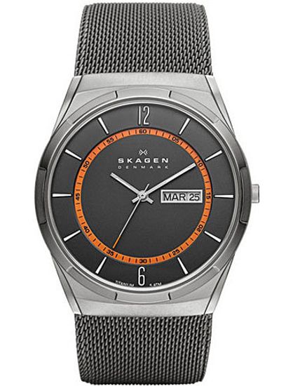 Наручные часы Skagen SKW6007