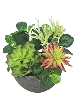 Искусственная Зелень с суккулентами 35см в чаше Лофт