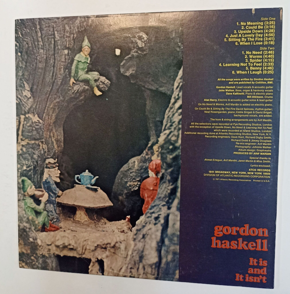 Винтажная виниловая пластинка Gordon Haskell It Is And It Isnt (USA 1971)