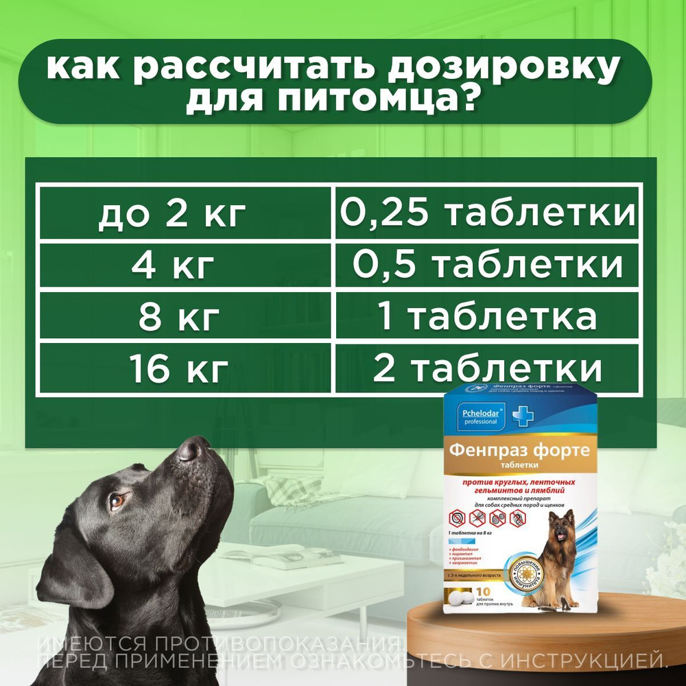 Таблетки от гельминтов и лямблий, профилактика дирофиляриоза для собак средних пород Фенпраз Форте, 10 таб