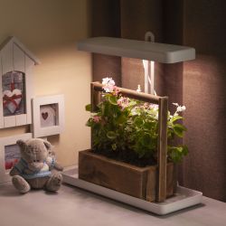 Настольный светильник для растений ЭРА FITO-20W-QLED-W полного спектра 20 Вт белый | Интерьерные фито светильники