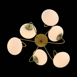 Светильник потолочный Evoluce Acini SL717.202.06