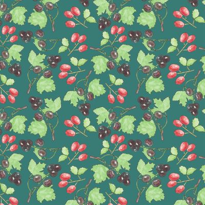 Шиповник и чёрная смородина