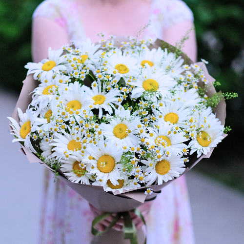 Купить Букет летних ромашек #522