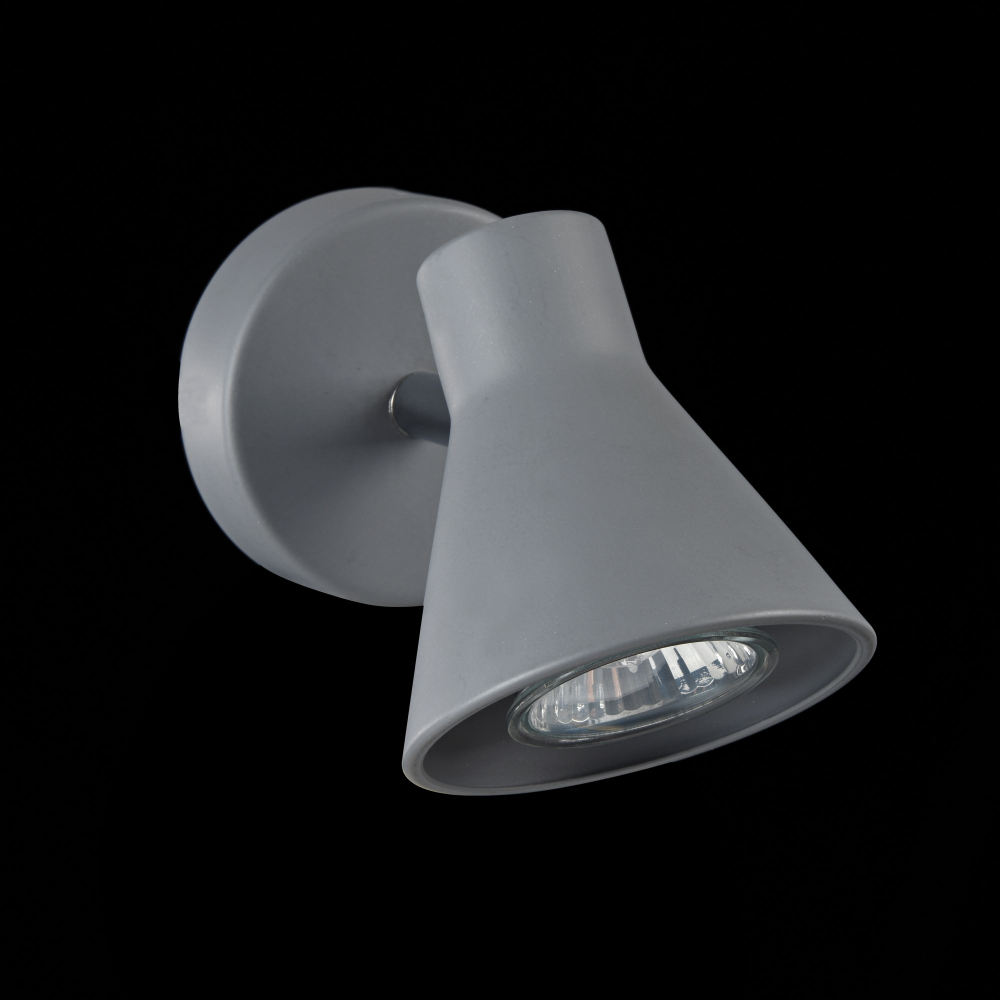 Спот Freya FR4308-WL-01-GR