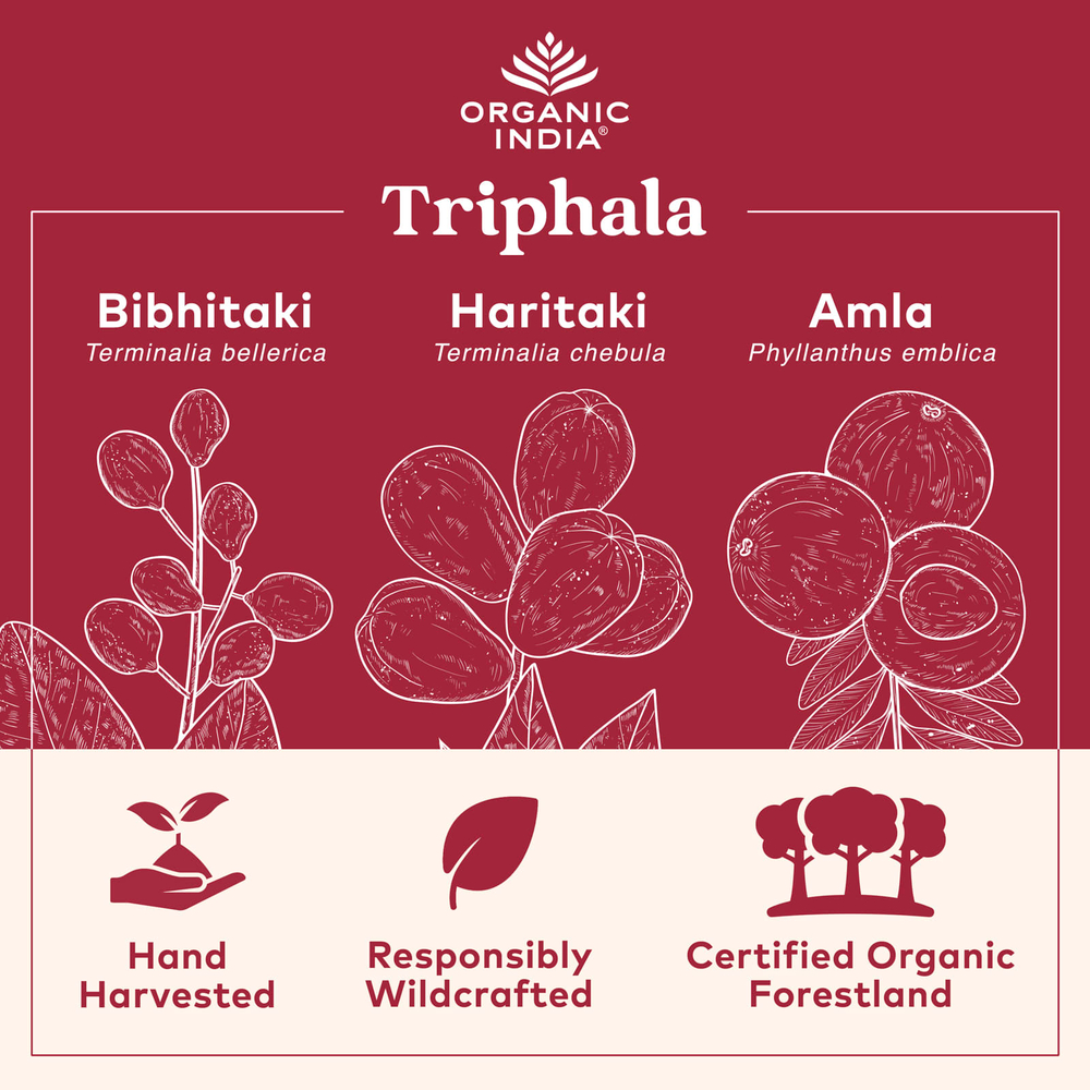 Organic India, трифала, порошок из плодов, 454 г (16 унций)