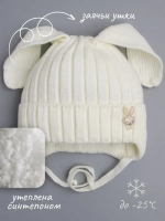 Шапка зимняя с ушками на завязках