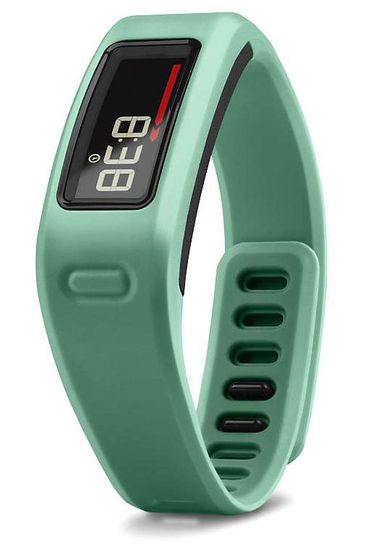Спортивные часы Garmin Vivofit 010-01225-03