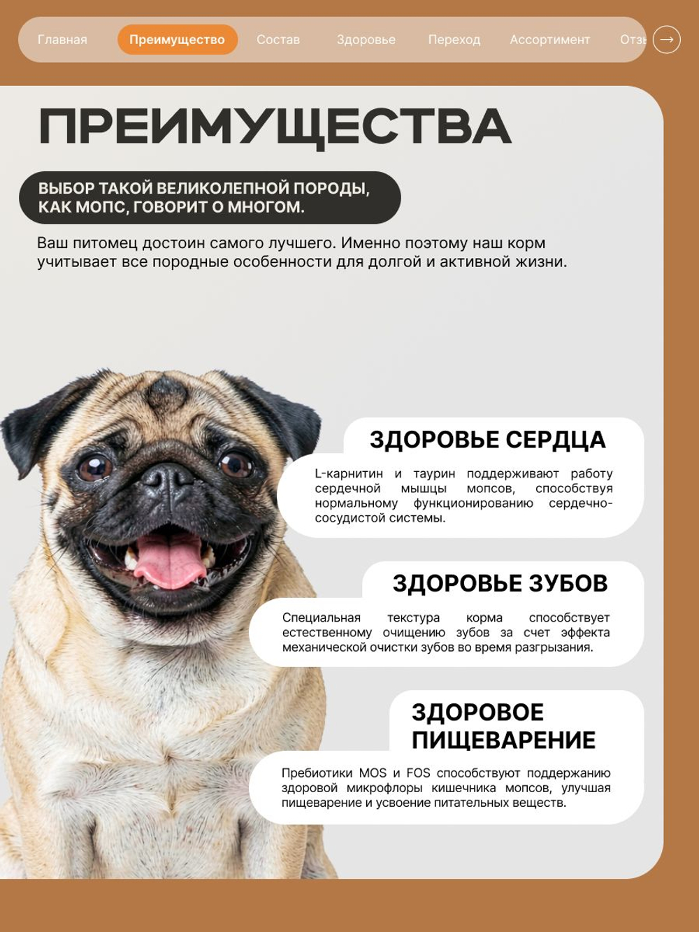 Корм сухой для взрослых собак породы Мопс, с индейкой, 800 гр, QUATTRO