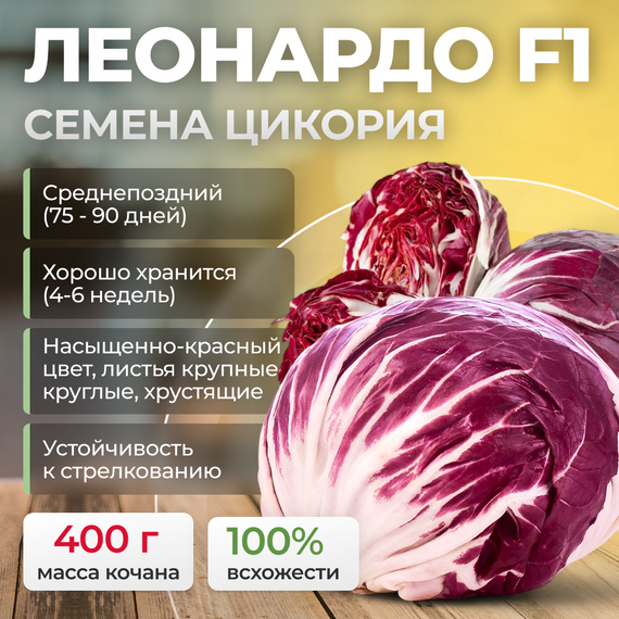 ЛЕОНАРДО F1 семена цикория (Bejo) продукция – фото 1