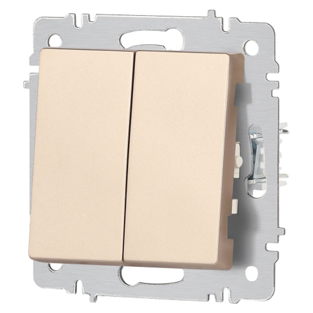 Переключатель Intro Accent 6-107-04 двойной, 10А-250В, IP20, СУ, AL/CU, шампань