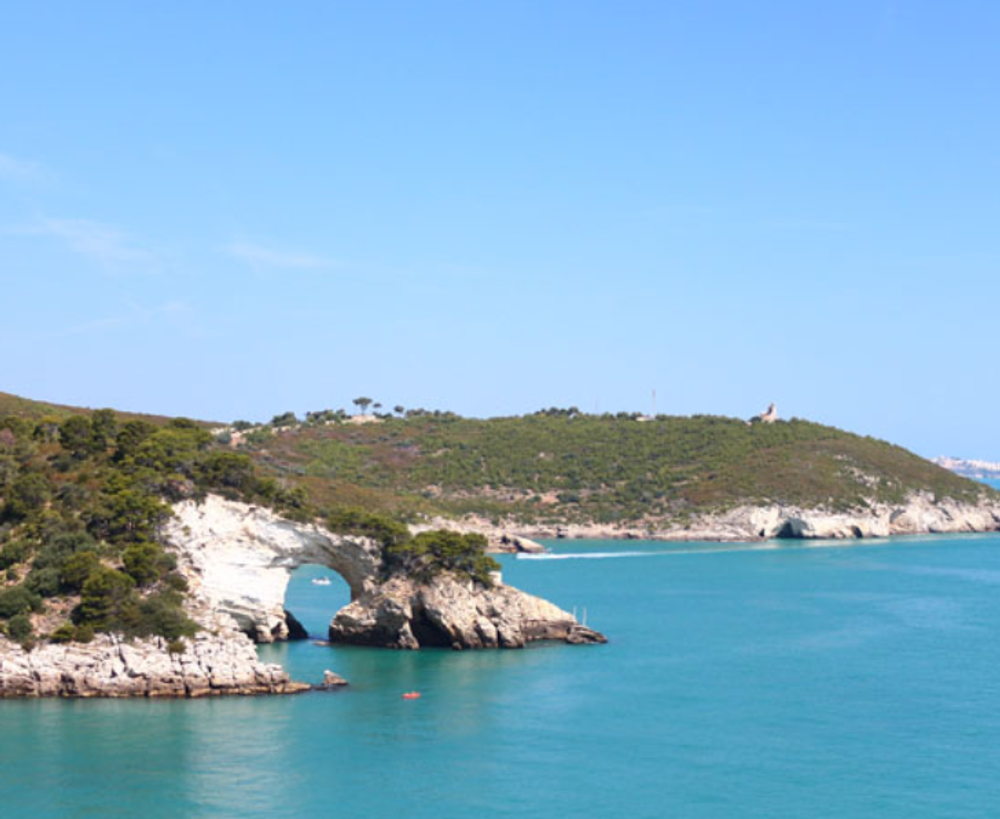 Оливковое масло Clemente "1895", 0,5 л, Италия