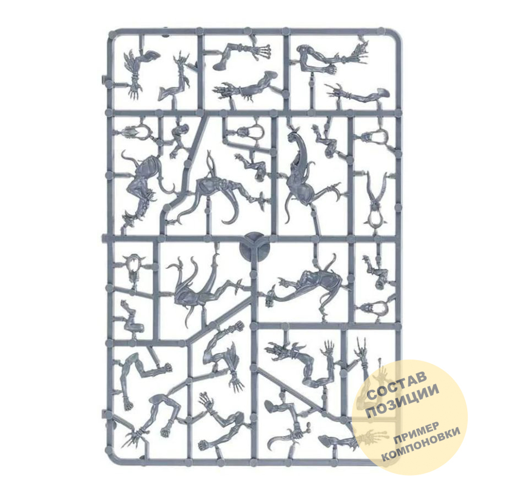 Pink Horrors of Tzeentch