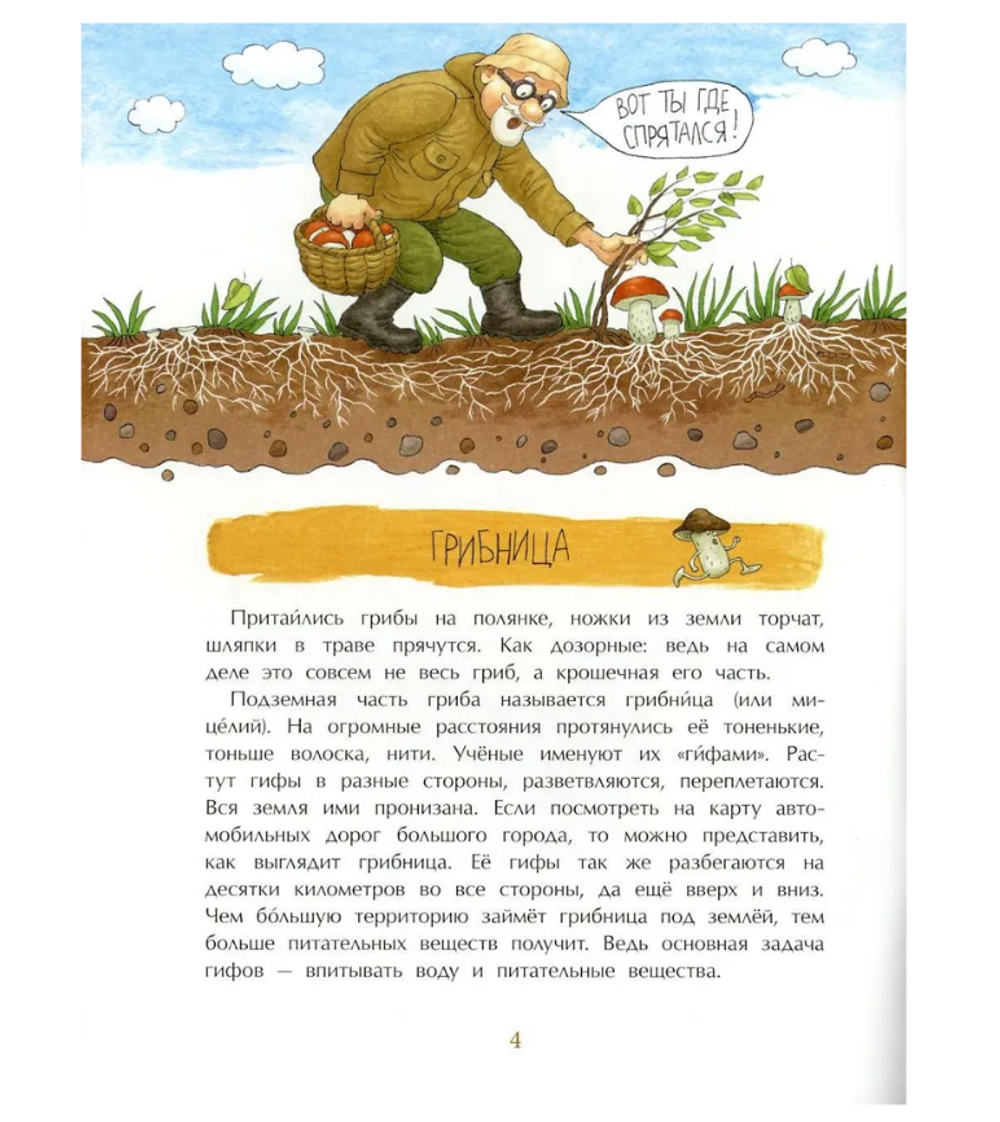 Грибное царство