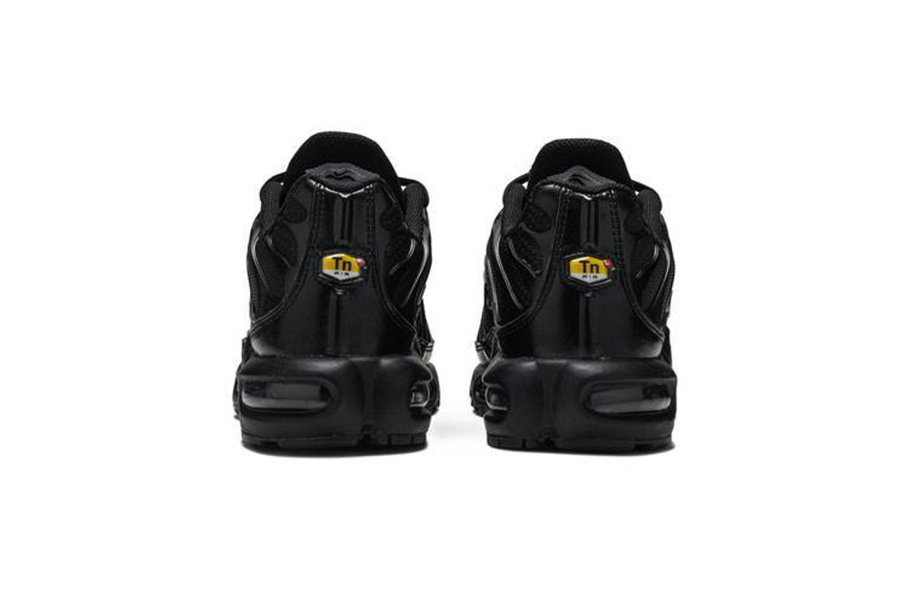 Кроссовки Nike Air Max Plus