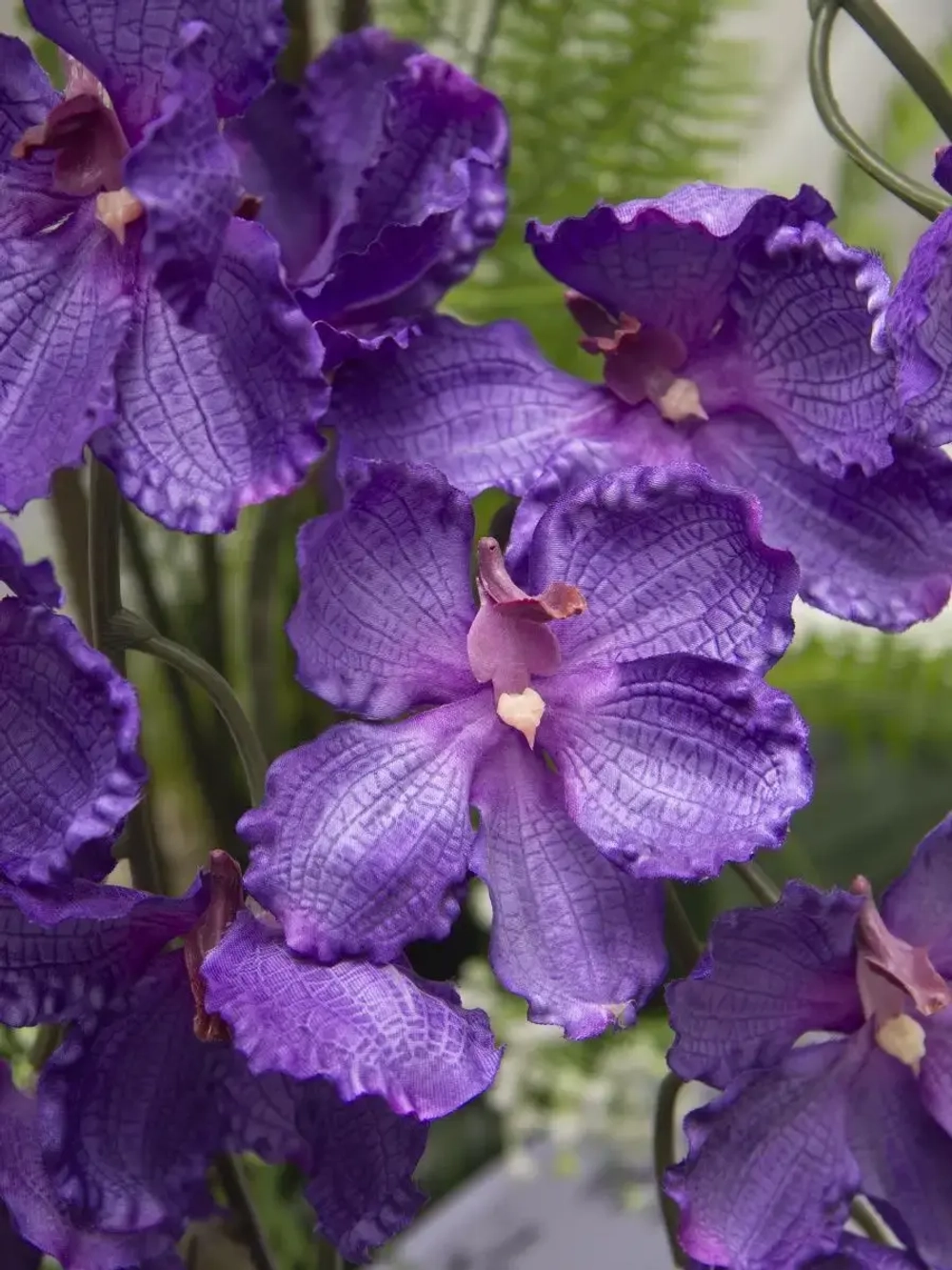 Композиция в деревянном кашпо "Орхидея"