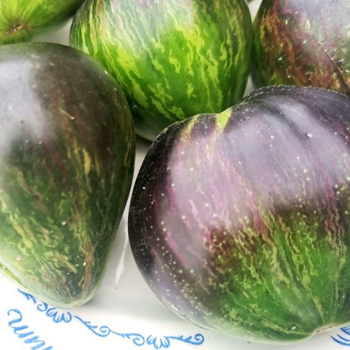 Помидоры Чёрное Сердце Джи Даблъю Ар - GWR  Black Hearts