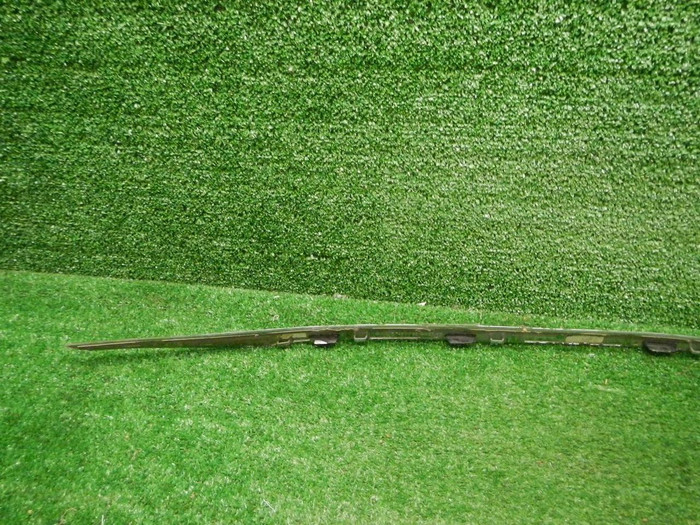 DSCN9791.JPG