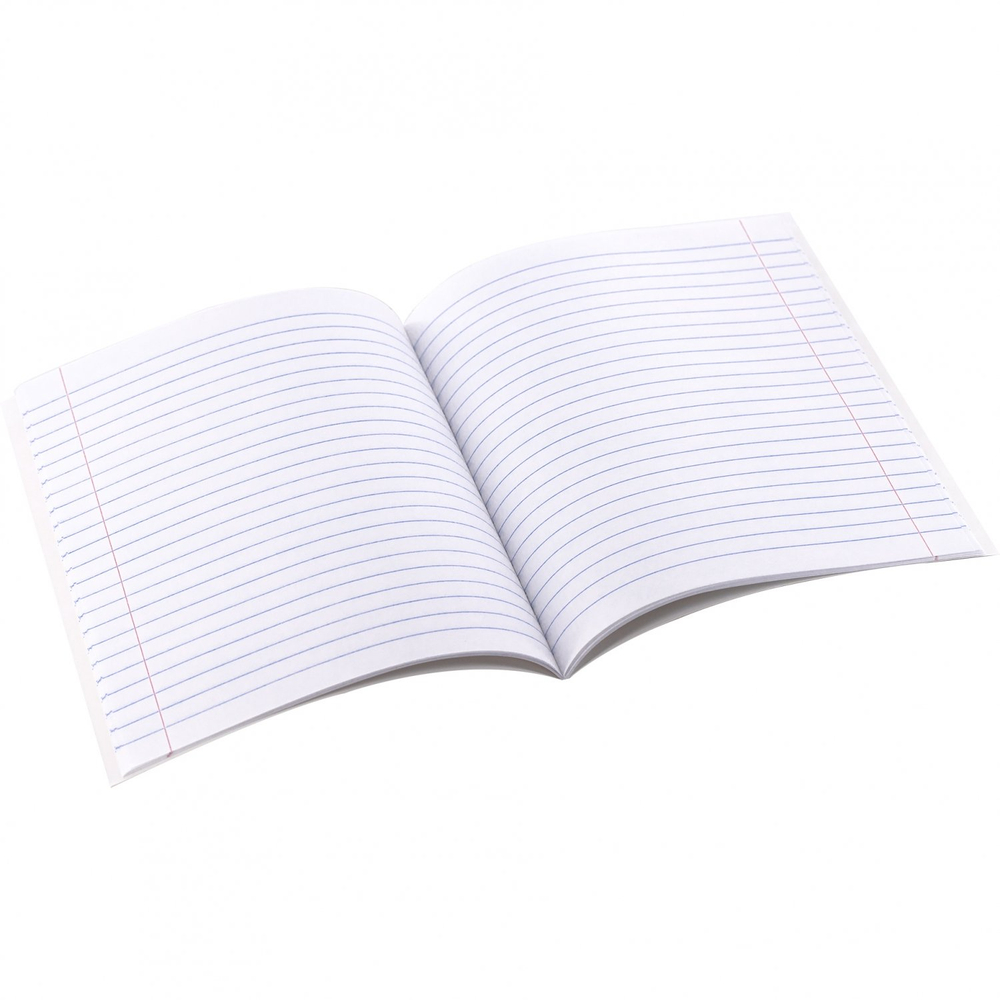 Тетрадь предметная 24л. А5 "Русский язык" со справочным материалом, скрепка, мелованный картон (стандарт), блок офсет, Alingar "Чёрный котик"