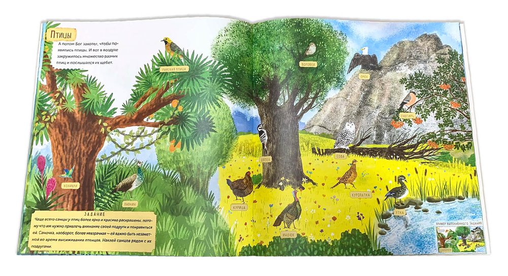 Дни творения. Татьяна Копяткевич