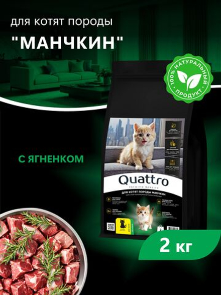 Корм сухой для котят породы Манчкин, с ягненком, 2кг, QUATTRO