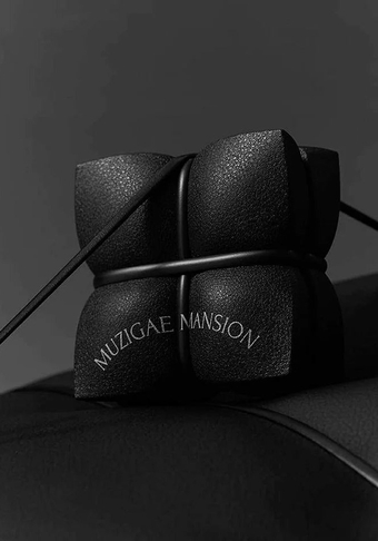 SLEEK MATT CUSHION