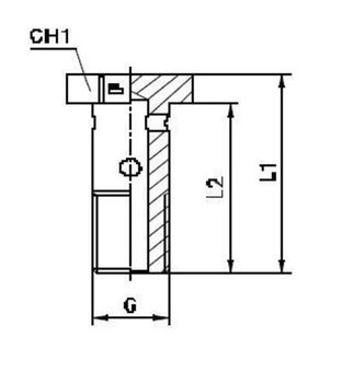 BANJO BOLT METRIC