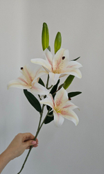 Лилия / Арт 2189