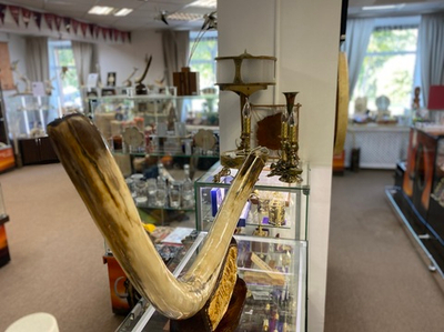 Бивень мамонта