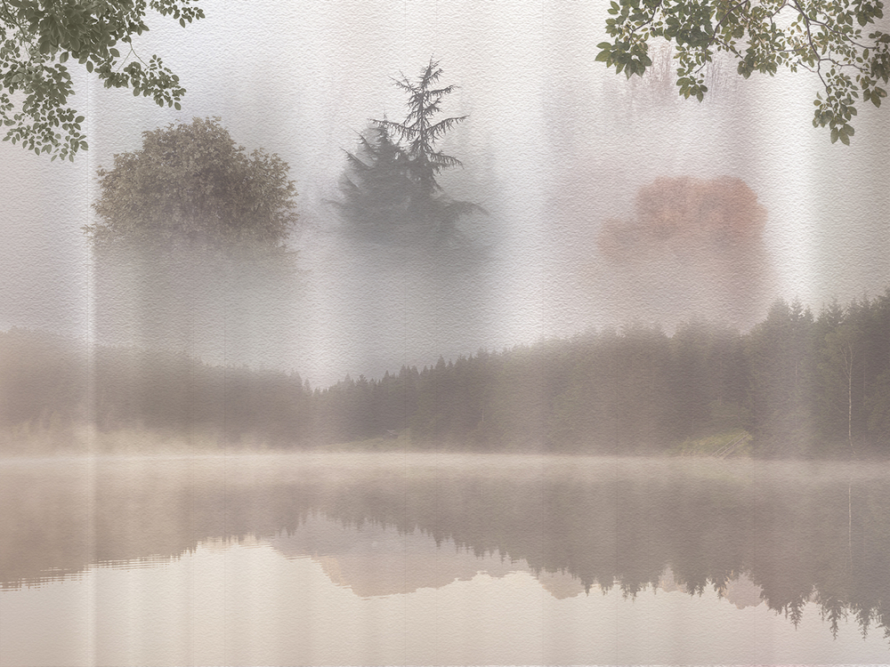 Коллекция FORESTA