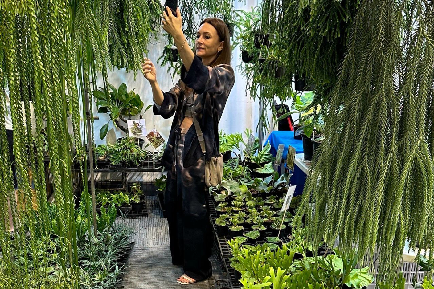 Exotic Plants Fair Bangkok N6 Pre-Winter 2024-2