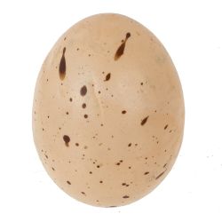 GAEM Набор из 14-ти изделий декоративных "Яйцо" (4*5, 3*4), L16 W7 H23 см