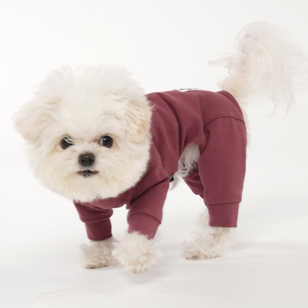 009 Костюм для собак (трикотажный) с высоким воротом "Angel Monsters™ Puppy Angel"